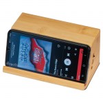 Speaker cu inductie Nurnberg (1)